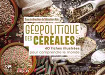 Géopolitique des céréales - 40 fiches illustrées pour comprendre le monde / collection dirigée par pascal boniface