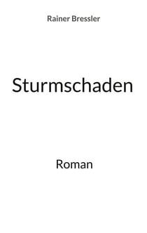 Sturmschaden - Roman