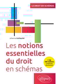 Les notions essentielles du droit en schémas - + de 180 notions à maîtriser absolument