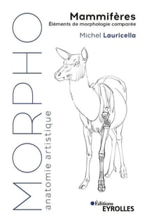 Mammifères - Eléments de morphologie comparée