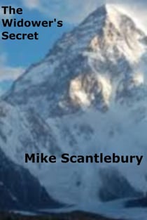 The Widower's Secret - Romantic Beginnings, #2