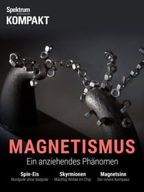 Spektrum Kompakt - Magnetismus - Ein anziehendes Phänomen
