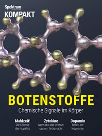 Spektrum Kompakt - Botenstoffe - Chemische Signale im Körper