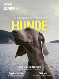 Spektrum Kompakt: Hunde - Treue Begleiter des Menschen