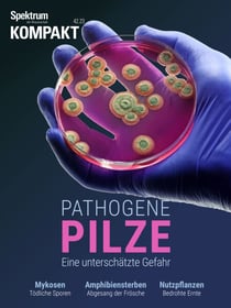 Spektrum Kompakt - Pathogene Pilze - Eine unterschätzte Gefahr