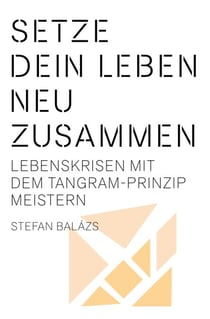 Setze dein Leben neu zusammen - Lebenskrisen mit dem Tangram‐Prinzip meistern