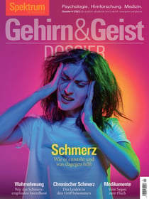 Gehirn&Geist Dossier - Schmerz - Wie er entsteht und was dagegen hilft