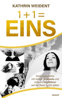 1 + 1 = EINS - Seelengespräche mit meiner Dualseele und meinem Geistführer auf der Reise zu mir selbst