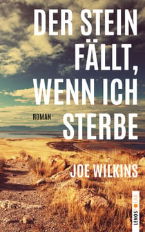 Der Stein fällt, wenn ich sterbe - Roman