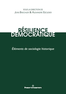 Résilience démocratique - Éléments de sociologie historique