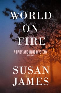 World on Fire - Cady and Blue Mystery, #2