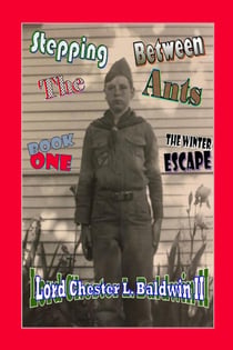 Stepping Between The Ants - Book ONE: The Winter Escape - Stepping Between The Ants, #1