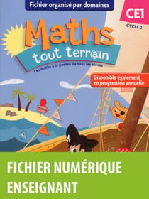 Maths tout terrain CE1 par domaines