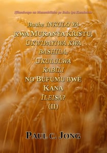 Bushe Inkulo Ya Kwa Mukanya Kristu, Ukwipayiwa Kwa Bashila, Ukululwa Kabili No Bufumu Bwe Kana Ileisa? (II)