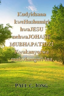 Kudyidzana kweHushumiri hwaJesu nehwaJohane Mubhapatidzi Kwakanyorwa muEvhangeri Ina