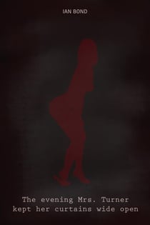 The Evening Mrs. Turner Kept Her Curtains Wide Open