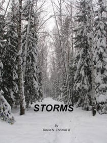 Storms - Steven Thomas, #4