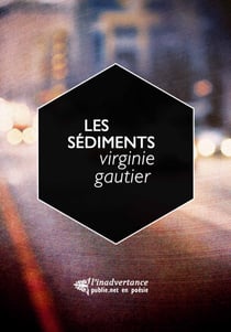 Les Sédiments - de la ville et du paysage comme expérience et mouvement