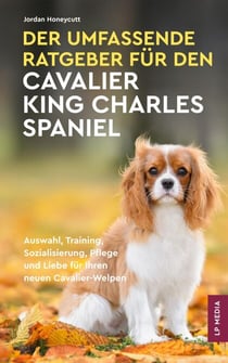 Der Umfassende Ratgeber Für Den Cavalier King Charles Spaniel