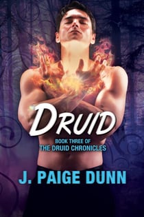 Druid: Book Three of the Druid Chronicles - The Druid Chronicles, #3