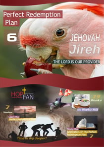 Perfect Redemption Plan 6 - Perfect Redemption Plan, #6