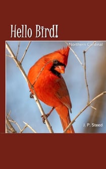 Northern Cardinal - Hello Bird!