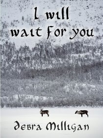 I Will Wait for You