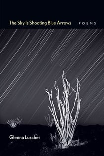 The Sky Is Shooting Blue Arrows - Poems