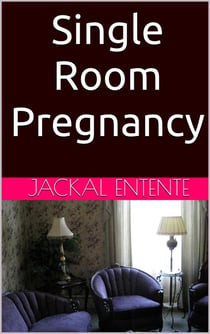 Single Room Pregnancy - Commission One Shots, #8