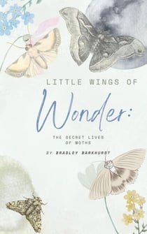Little Wings of Wonder: The Secret Lives of Moths - Little Wings of Wonder