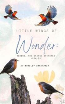 Little Wings of Wonder: Robins, the Orange-Breasted Heralds - Little Wings of Wonder