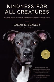Kindness for All Creatures - Buddhist Advice for Compassionate Animal Care