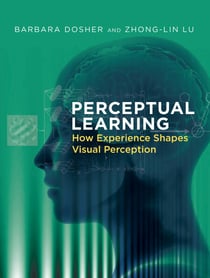 Perceptual Learning - How Experience Shapes Visual Perception