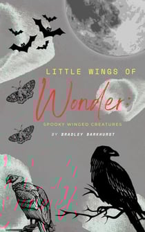 Little Wings of Wonder: Spooky Winged Creatures - Little Wings of Wonder