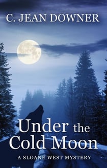 Under the Cold Moon