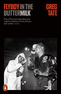 Flyboy in the Buttermilk - Essays on Contemporary America