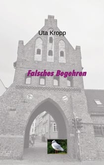 Falsches Begehren