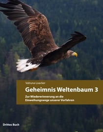 Geheimnis Weltenbaum - Zur Wiedererinnerung an die Einweihungswege unserer Vorfahren