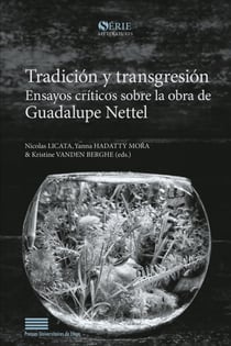 Tradición y transgresión - Ensayos críticos sobre la obra de Guadalupe Nettel