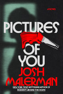 Pictures of You - A Novel