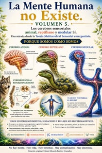 La Mente Humana no Existe. Pero los Cerebros Animal, Reptiliano y Medular Si. Desde una mirada Neuroelectroquimica Vegetal Emengentista - La Mente Humana no Existe, #5