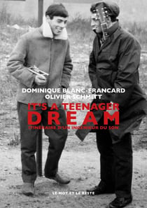 It's a Teenager Dream - NOUVELLE EDITION - Itinéraire d'un ingénieur du son