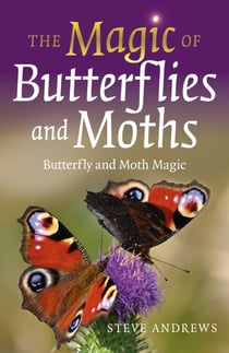 The Magic of Butterflies and Moths - Butterfly and Moth Magic