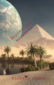 Beyond the Wormhole