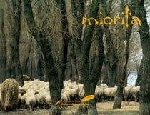 Miorita - An Icon of Romanian Culture