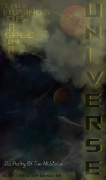 The Musings Of A Spec In A Universe - The Musings Of A Spec In A Universe, #1