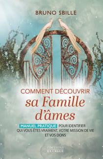Comment découvrir sa famille d'âmes ? - Manuel pratique pour identifier qui vous êtes vraiment, votre mission de vie et vos dons