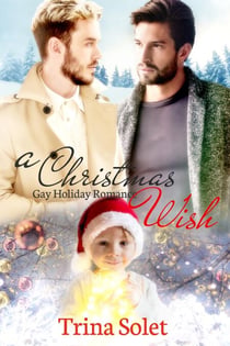 A Christmas Wish (Gay Holiday Romance)