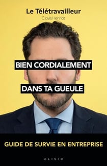 Bien cordialement : Dans ta gueule - Guide de survie en entreprise