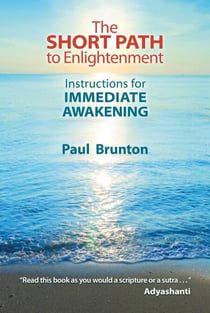 The Short Path to Enlightenment - Instructions for Immediate Awakening